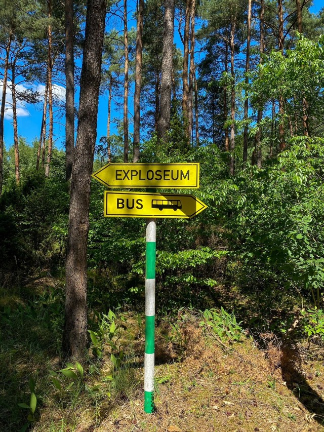 Na zwiedzających bydgoskie Exploseum czeka zarówno trasa nadziemnych i podziemnych tuneli, a także niewydeptane leśne ścieżki. Takie zwiedzanie to swego rodzaju surwiwal - propozycja w sam raz na lato!