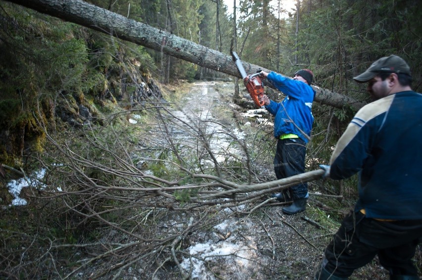 Skutki halnego