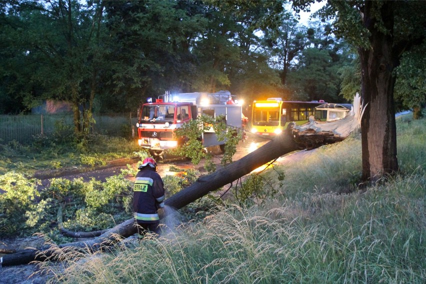 Burza na Śląsku : już grzmi i pada deszcz. 

PROGNOZA POGODY