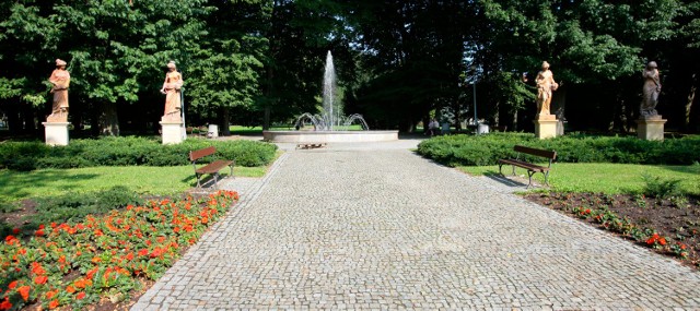 Park przy ul. Dąbrowakiwgo w Rzeszowie.