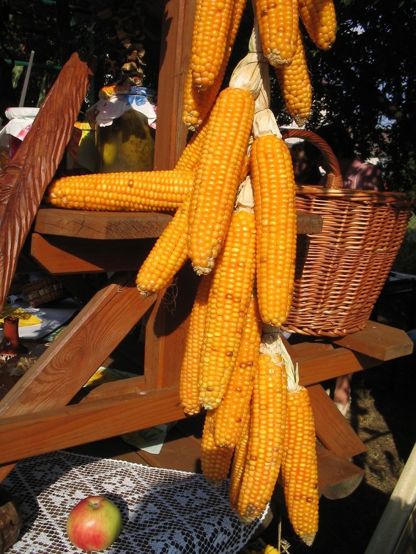 Kolorowe gotowanie z kukurydzą