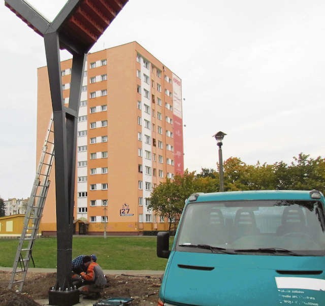 Trzy nowe wieże dla jerzyków stanęły w Toruniu. Jedna z nich nad Strugą Toruńską, niedaleko Kaszownika