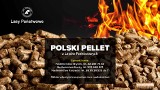 Leśnicy o polskich lasach: sadzimy, chronimy, udostępniamy