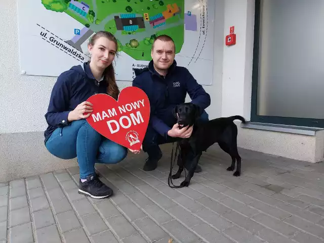 To dzięki tym ludziom mieszkańcy bydgoskiego schroniska mają nowy dom!