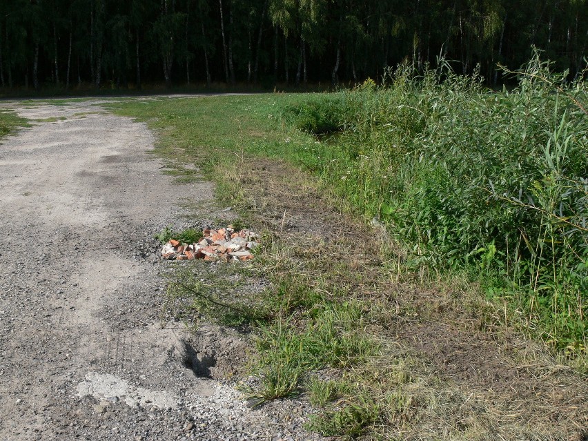 Kilkuletnia obecność bobrów na CichymKąciku jest widoczna...