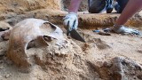 Archeolodzy natrafili na ludzkie szczątki na Placu Słowiańskim w Zielonej Górze 