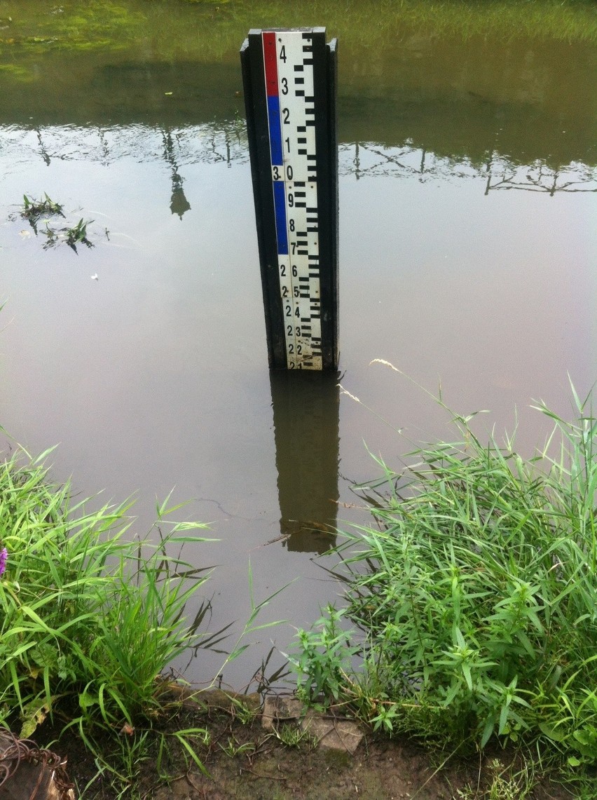 Wzrasta poziom wody w rzekach zlewni Wisły i Odry