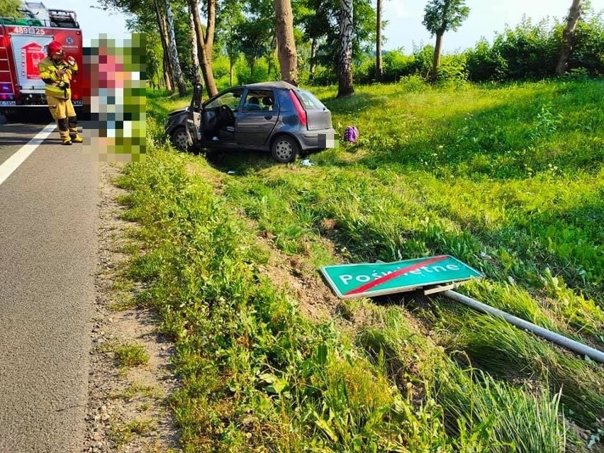 Poświętne. Wypadek na DK8. Fiat uderzył w drzewo