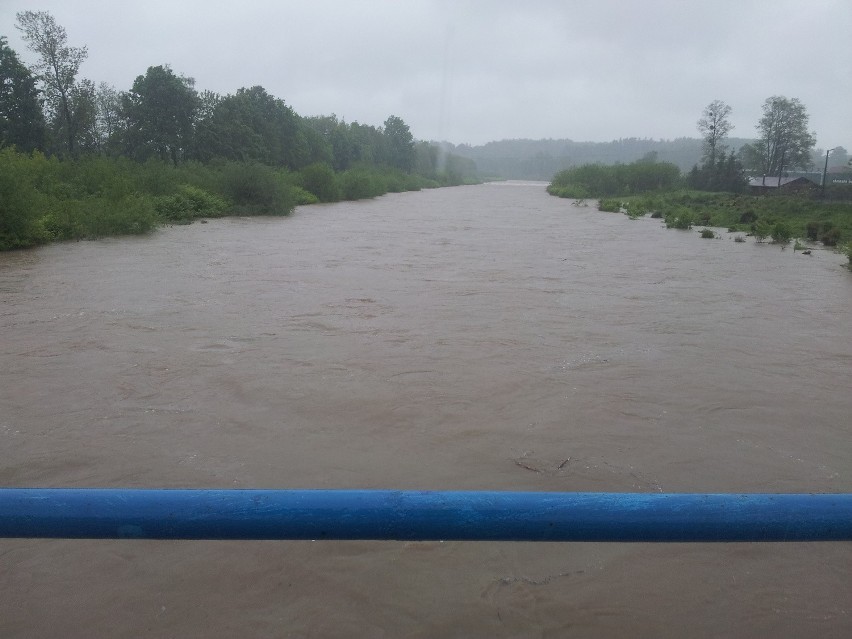 16.05.2014r Ochaby, rzeka wisła godz 9.30