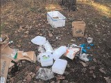Sterta śmieci w lesie w Fordonie. Straż Miejska ukarała winowajcę