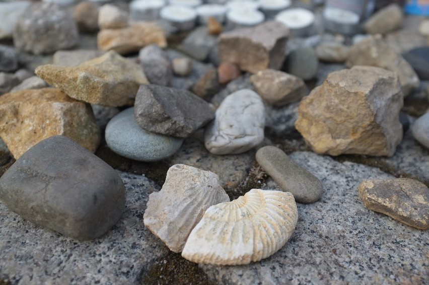 Będzin: 70. rocznica likwidacji getta  [ZDJĘCIA]