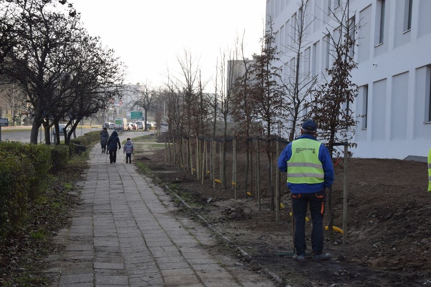 Likwidacja ogrodzenia budynków szpitalnych od strony ulicy...