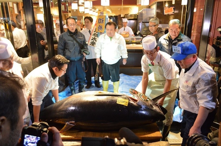 Kaliszanie na wielkiej aukcji tuńczyka w Japonii [FOTO]