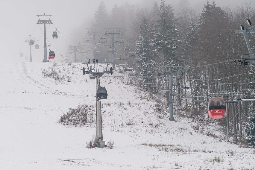 Jaworzyna Krynicka znów dostępna dla wszystkich