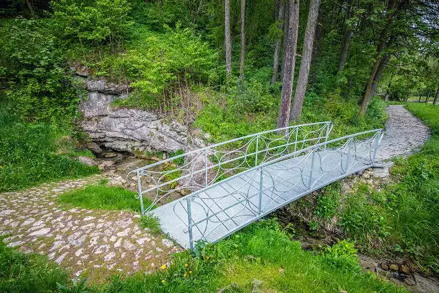 Do źródełka prowadzi wygodna kładka