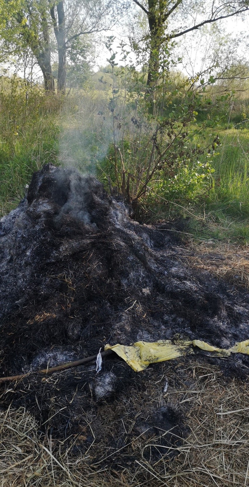 Jezioro Dąbie. Imprezują pomimo zakazów. Zostawiają bałagan i nie dogaszają ognisk