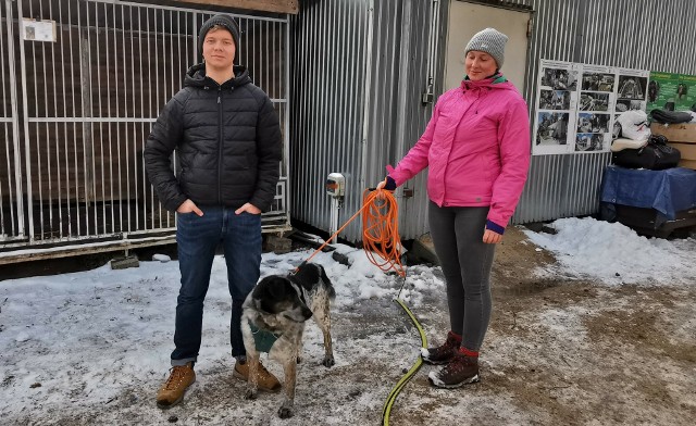 Trwa rozbudowa schroniska dla bezdomnych zwierząt w Zielonej Górze, ale cały czas priorytetem są adopcje psów i kotów.