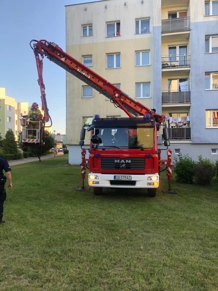 Bezmyślność i brak empatii. Tak można określić zachowanie...