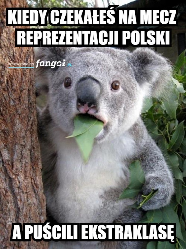 Memy o meczu Polska - Nigeria
