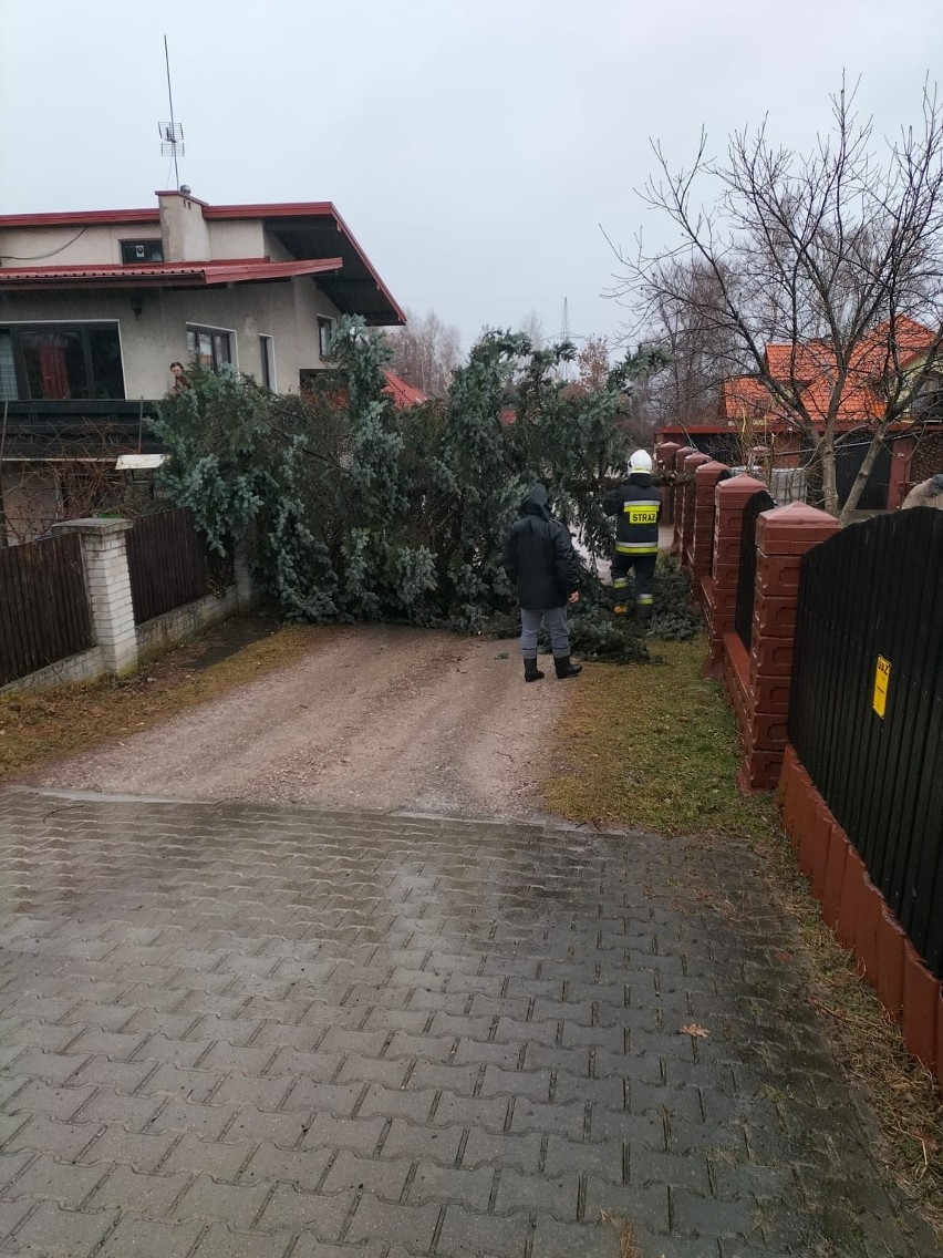 Zdarzenia spowodowane silnym wiatrem dotyczyły powalonych...