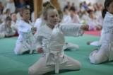 180 karateków zdało egzaminy w Krakowie i Niepołomicach 