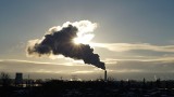 Najbardziej zanieczyszczone miasta w Europie. Raport WHO: Opoczno drugie w Unii Europejskiej pod względem zanieczyszczenia powietrza