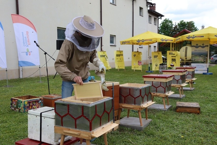 Miejska pasieka w Częstochowie powstała przy ulicy Anyżkowej...