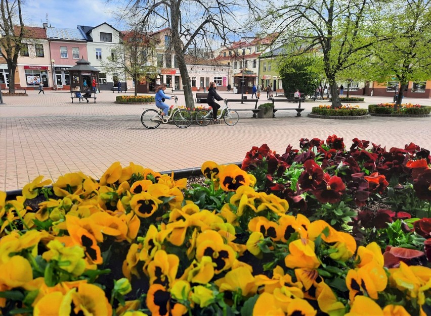 Plac Bartosza Głowackiego w Tarnobrzegu