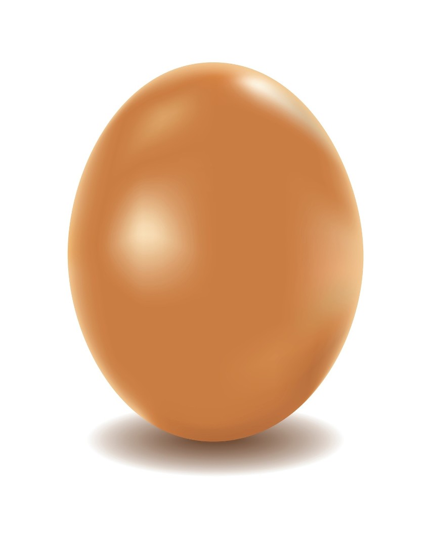 Uwaga! Skażone jajka w Biedronce, Carrefour i innych sklepach. Zobacz, jakie mają numery  