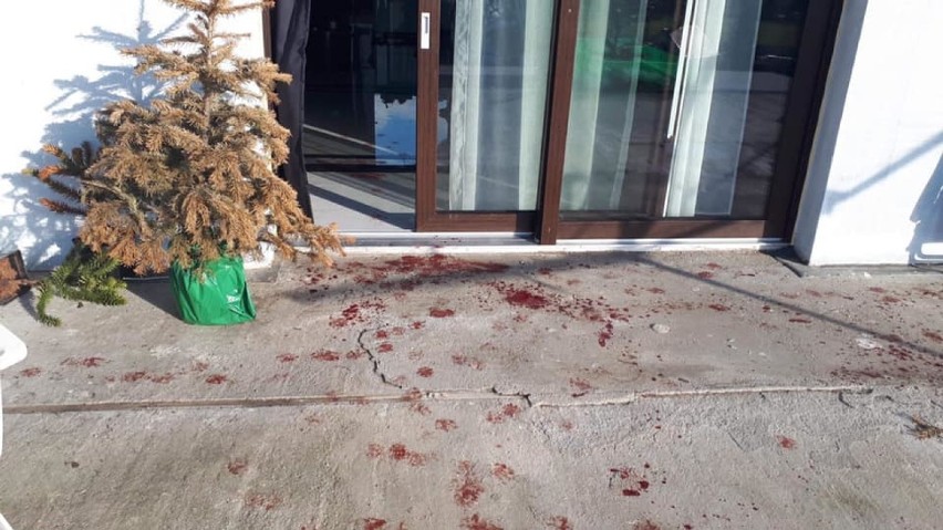 Dolny Śląsk: Policjanci zastrzelili psa podczas interwencji. Obrońcy zwierząt: bestie, nie stróże prawa. Policja: Broniliśmy się