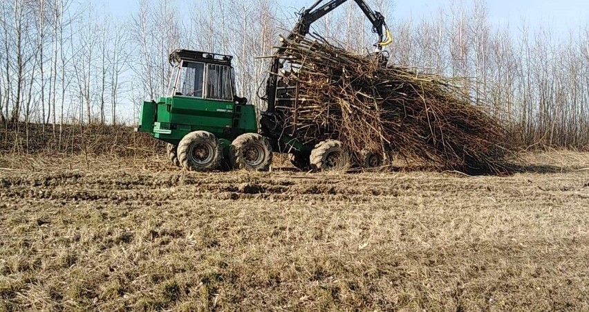 Trwa wycinka drzew i krzewów pod budowę ostatniego odcinka...