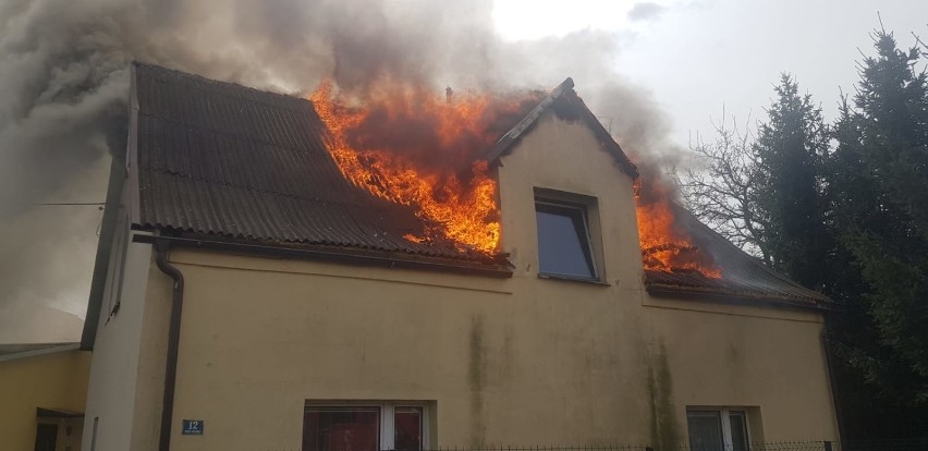 Pożar w Pruszczu Gdańskim [18.04.2020]. Płonął dach domu przy ul. Kopernika [ZDJĘCIA]