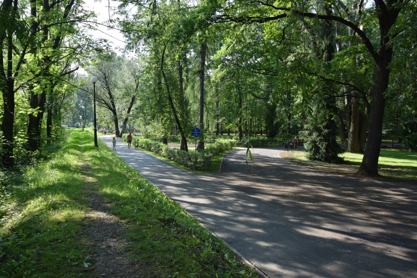 Park Miejski w Gorlicach po rewitalizacji. Jest mnóstwo...