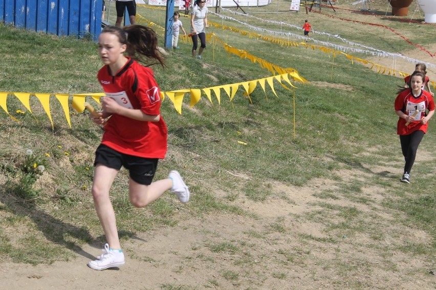 Cross Straceńców 2015. Sztafetowe Mistrzostwa Głogowa [Zdjęcia]