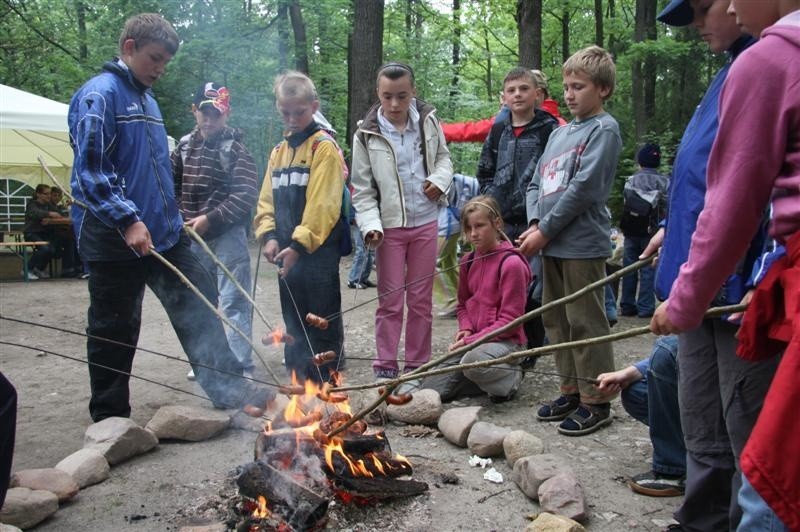 Dzien otwarty w szkólce leśnej