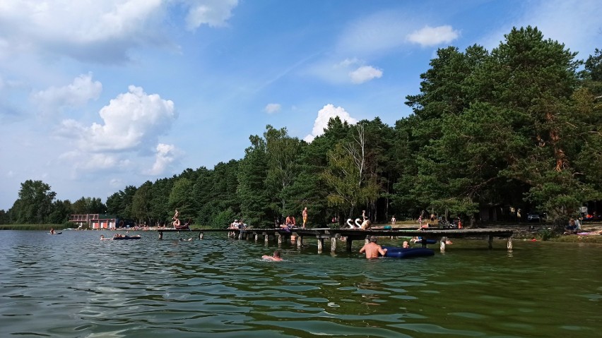 Urocze Jezioro Bialskie w powiecie parczewskim. Malownicze tereny i mnóstwo atrakcji! Zobacz zdjęcia
