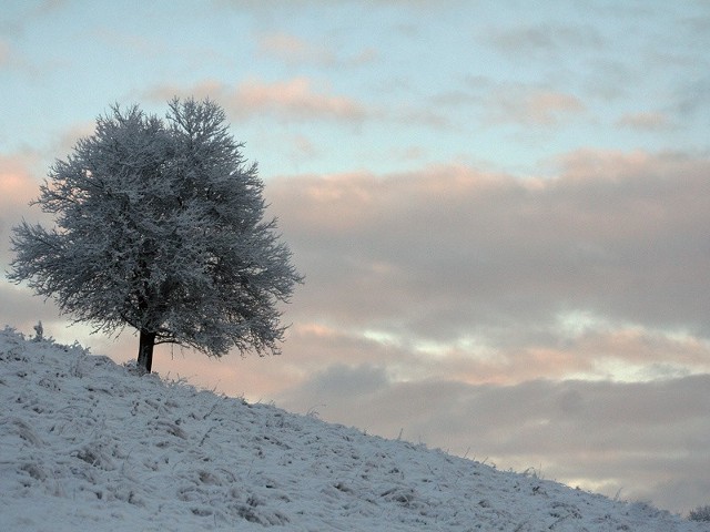 Zima w BieszczadachW Bieszczadach panują trudne warunki do uprawiania turystyki górskiej