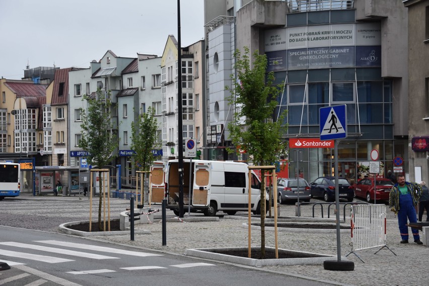 Nowy skwer w Rybniku przy Placu Wolności już z drzewami....