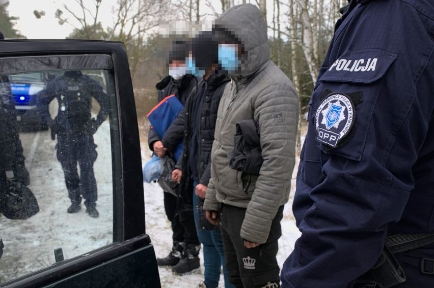 Treszczotki. Kurier z Ukrainy przewoził 9 nielegalnych migrantów z Iraku. Został zatrzymany po policyjnym pościgu [ZDJĘCIA]