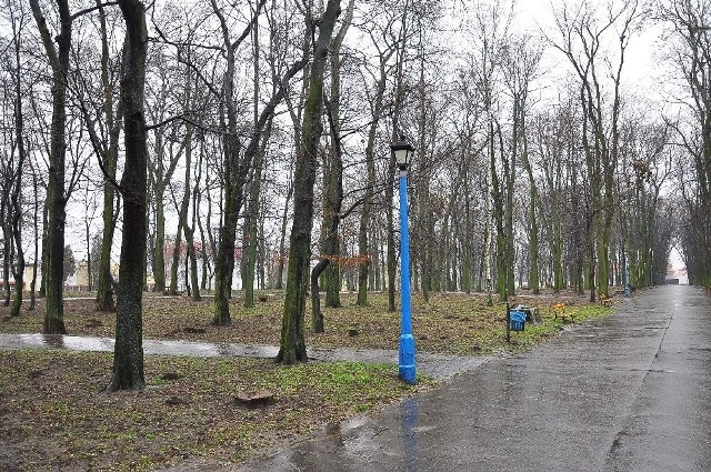 To miejsce czekają duże zmiany. Rewaloryzacja zabytkowego Parku Miejskiego została ujęta w budżecie Sandomierza na 2016 rok.