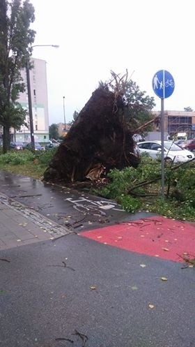 Burza w Łodzi. Nawałnica nad Łodzią. Powalone drzewa, gałęzie na drogach, zalane ulice [ZDJĘCIA]