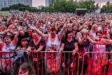 Poznań: Dni Piątkowa 2019 - Andrzej Piaseczny. Koncert na finał imprezy. Publiczność bawiła się świetnie [ZDJĘCIA]