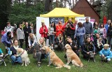 Stowarzyszenie apeluje o budowę grzebowiska dla zwierząt w Kielcach. I zbiera podpisy