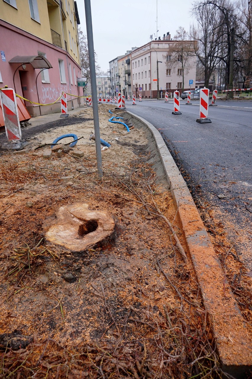 Dodatkowa wycinka drzew w centrum Lublina. Powód? Przebudowa Al. Racławickich i ul. Lipowej