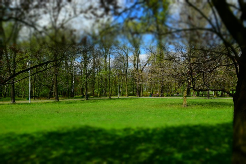 Park Kościuszki w Katowicach