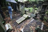 Zdewastowano cmentarz żydowski w Katowicach. Choć straty oszacowano na 200 tys. złotych, mogą być dużo większe