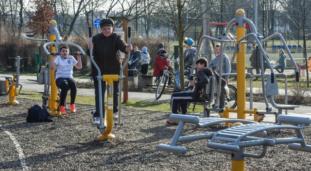 Budowa placu zabaw dla dzieci w różnym wieku z siłownią na świeżym powietrzu (Park Miejski). Wartość 125 tys. złotych.