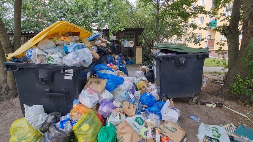 Przy jednej z poznańskich ulic śmieci nie są wywożone od...