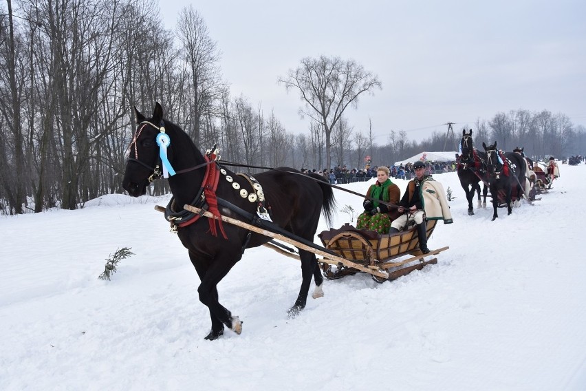 Parada Gazdowska 2019 - Biały Dunajec