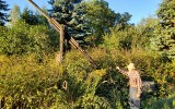 Drewniana studnia - żuraw na Sikawie w Łodzi. Unikatowy zabytek czeka na ratunek